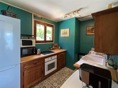 - une cuisine avec des murs verts et un réfrigérateur blanc dans l'établissement Chalet les pieds dans l'eau avec accès direct au Lac d'Annecy, à Angon