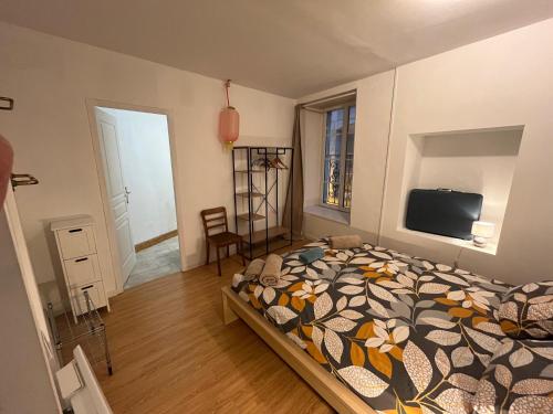 a bedroom with a bed and a television in it at Balcon sur la rivière in Périgueux