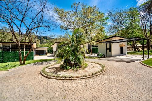 a palm tree in the middle of a driveway at Epic Tamarindo Boutique Hotel in Tamarindo