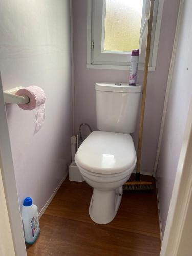 Elle comprend une petite salle de bains pourvue de toilettes et d'une fenêtre. dans l'établissement Mobil Home près de Paris, à Saint-Chéron