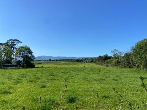 a field of green grass with a blue sky at Tranquil Haven Home in Milltown