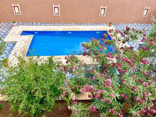 a swimming pool with flowers in front of a house at Dar Hassi Labied Merzouga in Hassilabied