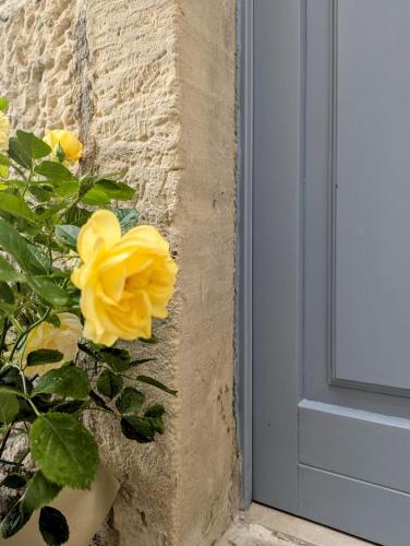 a yellow rose in a vase next to a door at Casa Avella Mountain Retreat in Pennapiedimonte