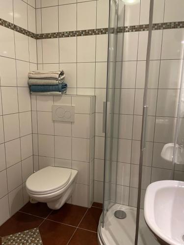 a bathroom with a toilet and a glass shower at Gasthaus Schöberingerhof in Weyregg