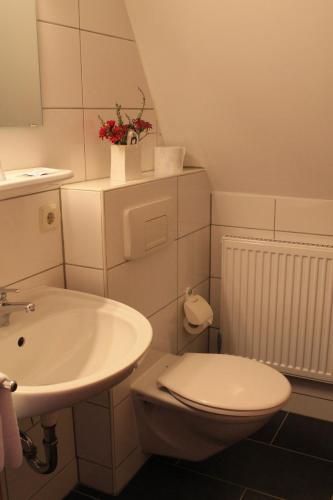 a bathroom with a white toilet and a sink at Landhotel Kahrmühle in Pressath