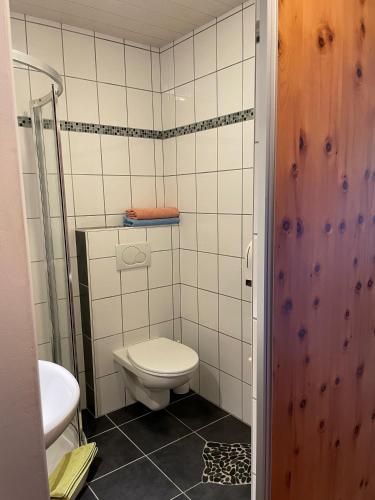 a small bathroom with a toilet and a shower at Gasthaus Schöberingerhof in Weyregg