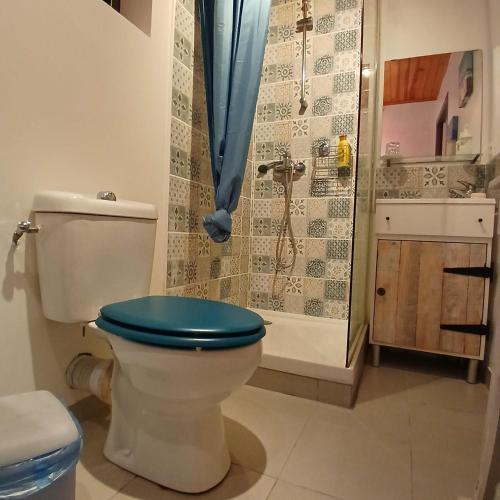 La salle de bains est pourvue de toilettes avec un siège bleu. dans l'établissement Studio au cœur de la nature, à Saint-Paul-en-Born