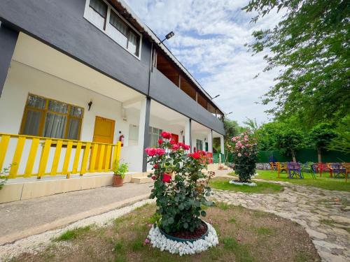 two bushes with red flowers in front of a building at Ones Pansiyon in Kumluca