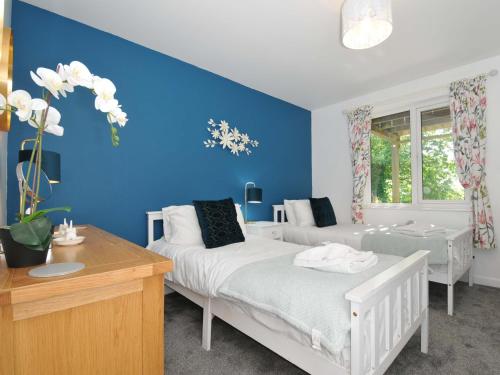 a bedroom with two beds and a blue wall at 60 Valley Lodge in Callington