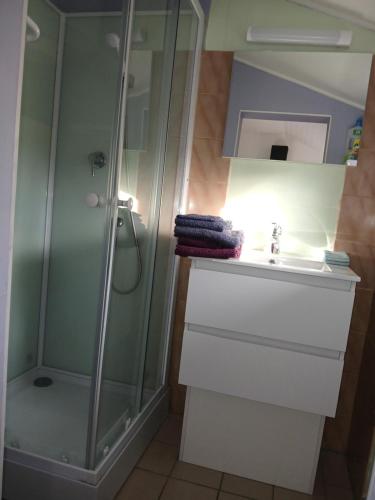 a bathroom with a shower and a sink at gîte in Malafretaz
