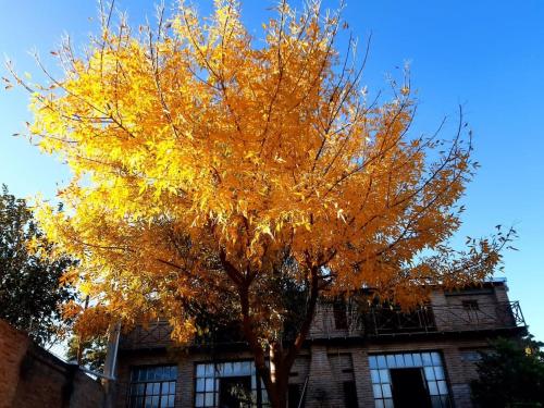 Galeriebild der Unterkunft Casa de Campo in San Isidro