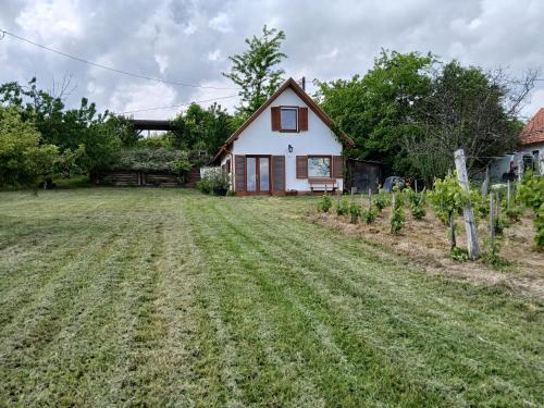 a house with a large yard in front of it at NyugtatLak in Balatonalmádi