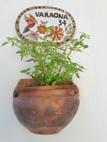 a vase with a plant in it next to a sign at Monoambiente Golondrina in Capilla del Monte