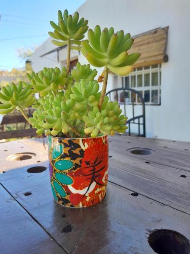 a flower pot with a bunch of green bananas in it at Monoambiente Golondrina in Capilla del Monte