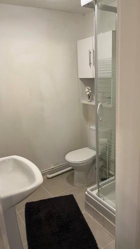 une salle de bain avec toilettes, lavabo et douche dans l'établissement Joli F1 plein centre de la ville royale d EU, à Eu