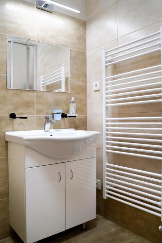 a bathroom with a white sink and a mirror at K-HAUS in Děčín