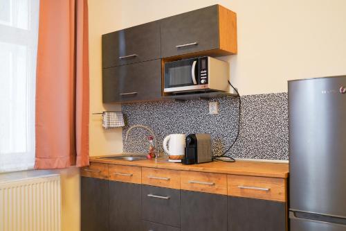 a kitchen with a refrigerator and a microwave at K-HAUS in Děčín