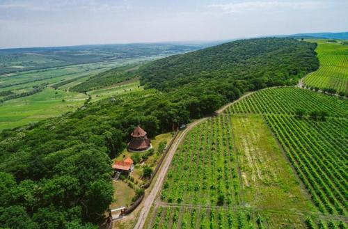 an aerial view of a vineyard with a building in the middle at Crama Tudor in Sadova