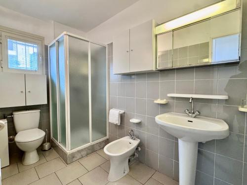 une salle de bain avec un lavabo, des toilettes et une douche dans l'établissement I Certali apt 5 apt 6, à LʼÎle-Rousse