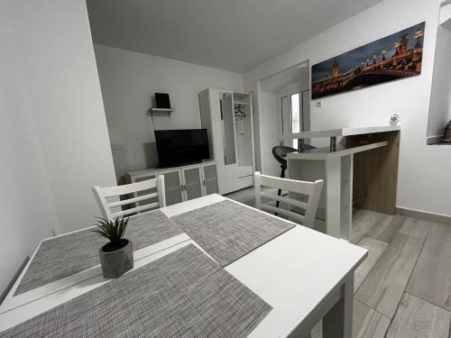 Apartment DN 12