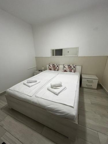 Apartment DN 12