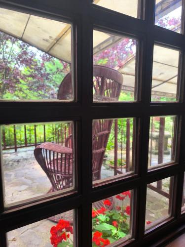 a view through a window of a patio with flowers at Tamerici House in Montecastrilli