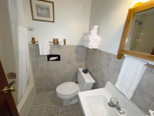 a bathroom with a toilet and a sink at Afton House Inn in Afton
