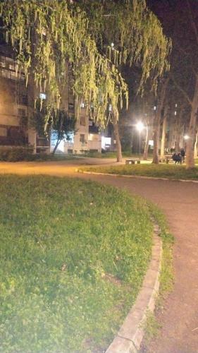 a park at night with a tree and a street at Gandijeva, New Belgrade, close to the airport in Beograd