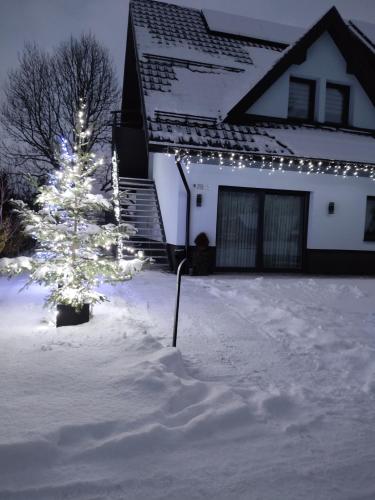 a christmas tree in the snow in front of a house at Noclegi SKORUSINKA in Witów