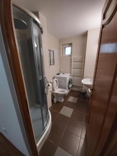 Ένα μπάνιο στο Raluca Residence