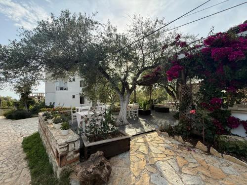 a garden with a tree and some flowers at Hotel Stolis in Himare