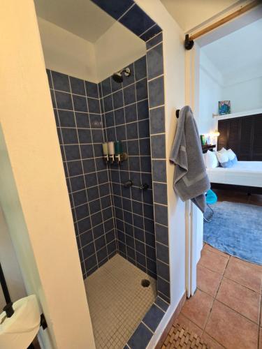 a bathroom with a shower with black tiles at Hodges Bay House in Calibishie