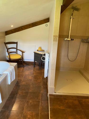 Cette chambre comprend un lit et une salle de bains pourvue d'une douche. dans l'établissement Ameztoia XVe siècle chambres d'hôtes Navarraises, à Saint-Étienne-de-Baïgorry