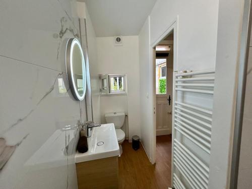 une salle de bain blanche avec un lavabo et un miroir dans l'établissement Le Patio des Ducs, Hypercentre, à Dijon
