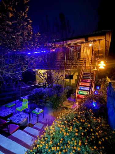 a garden at night with purple lights on a house at Zoella in Gushaini