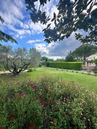 un champ de fleurs dans un parc dans l'établissement VILLA DE LA ROQUE, à Eygalières