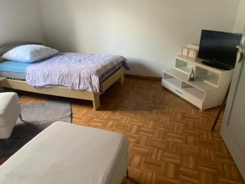 TV a/nebo společenská místnost v ubytování Fewo Abendsonne
