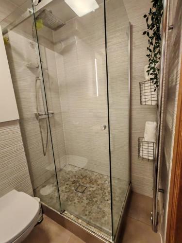 une cabine de douche avec toilettes dans une salle de bain dans l'établissement Bel appartement,à 3 min à pied du Metro, à Clichy