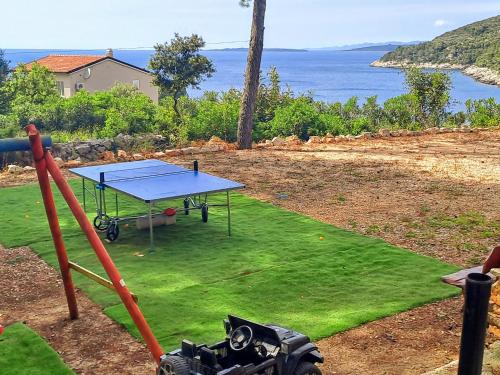 a ping pong table on a lawn with the ocean at Villa Stone House Poplat in Vela Luka