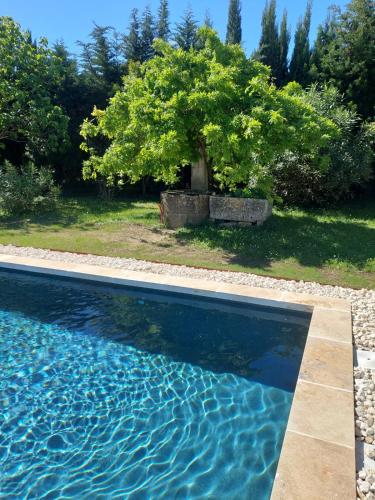 une piscine bleue avec un arbre en arrière-plan dans l'établissement La maison des Alpilles, à Saint-Étienne-du-Grès