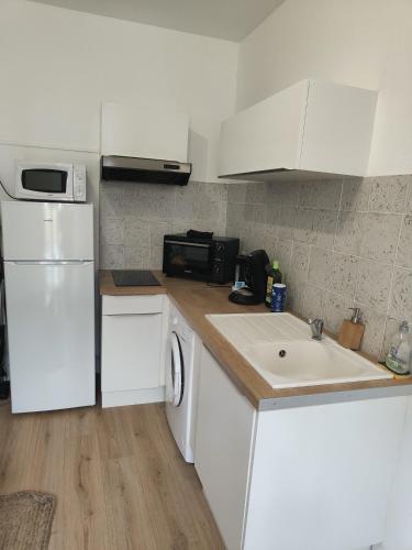 une cuisine avec un réfrigérateur blanc et un évier dans l'établissement L'esprit Cyrano, à Bergerac