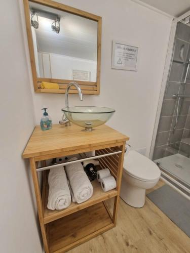 une salle de bain avec un lavabo et des toilettes dans l'établissement Le Guichard #Terrasse#Parking, à Clermont-Ferrand