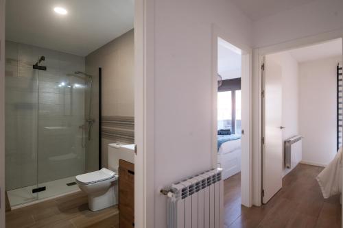 a bathroom with a toilet and a walk in shower at Casa vacacional Saelia in Ribadesella