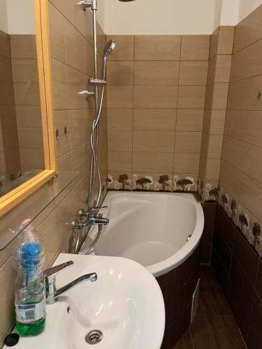 a bathroom with a bath tub and a sink at Hideaway house with garden & freeparking in Budapest