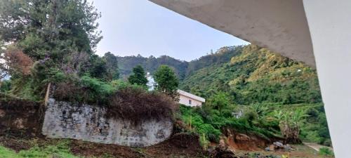 Gallery image of Nector Nest homestay in Kodaikānāl