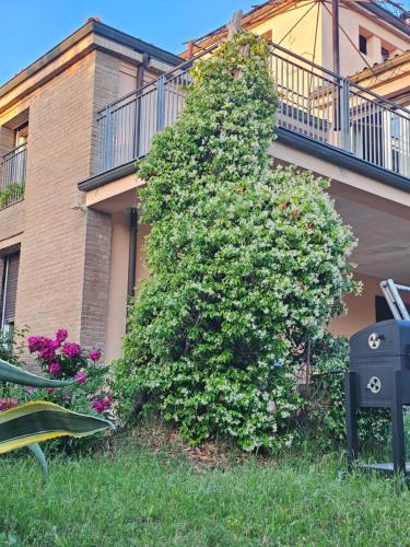a large green bush in front of a building at Casa VINCENZO 130 mq con portico ed ingresso esclusivo dal giardino in Felino