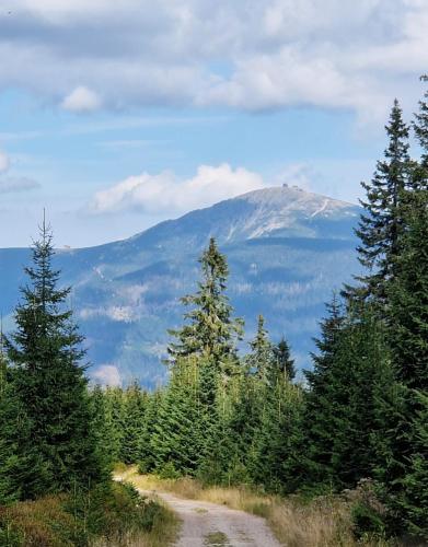 Apartmán Maršovák Horní Maršov