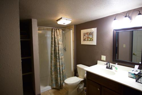 a bathroom with a toilet and a sink and a shower at White River Float Trips - Charming country 4Bd 2Ba Full House - Near Beaver Lake & Dam and Eureka Springs - 3 boat ramps within 3 miles in Eureka Springs