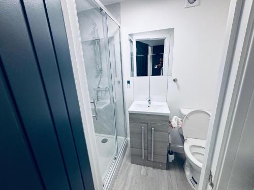 une salle de bain avec une douche, des toilettes et un lavabo dans l'établissement The Cozy Stay House, à Langley Mill