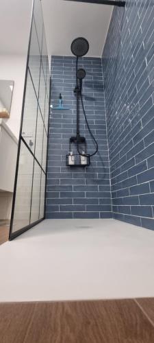 a bathroom with a shower with blue tiles at Lagarto Playas Majoreras in Las Playas